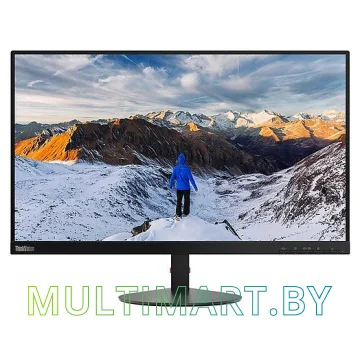 Монитор Lenovo ThinkVision S24e-10 61CAKAT1EU